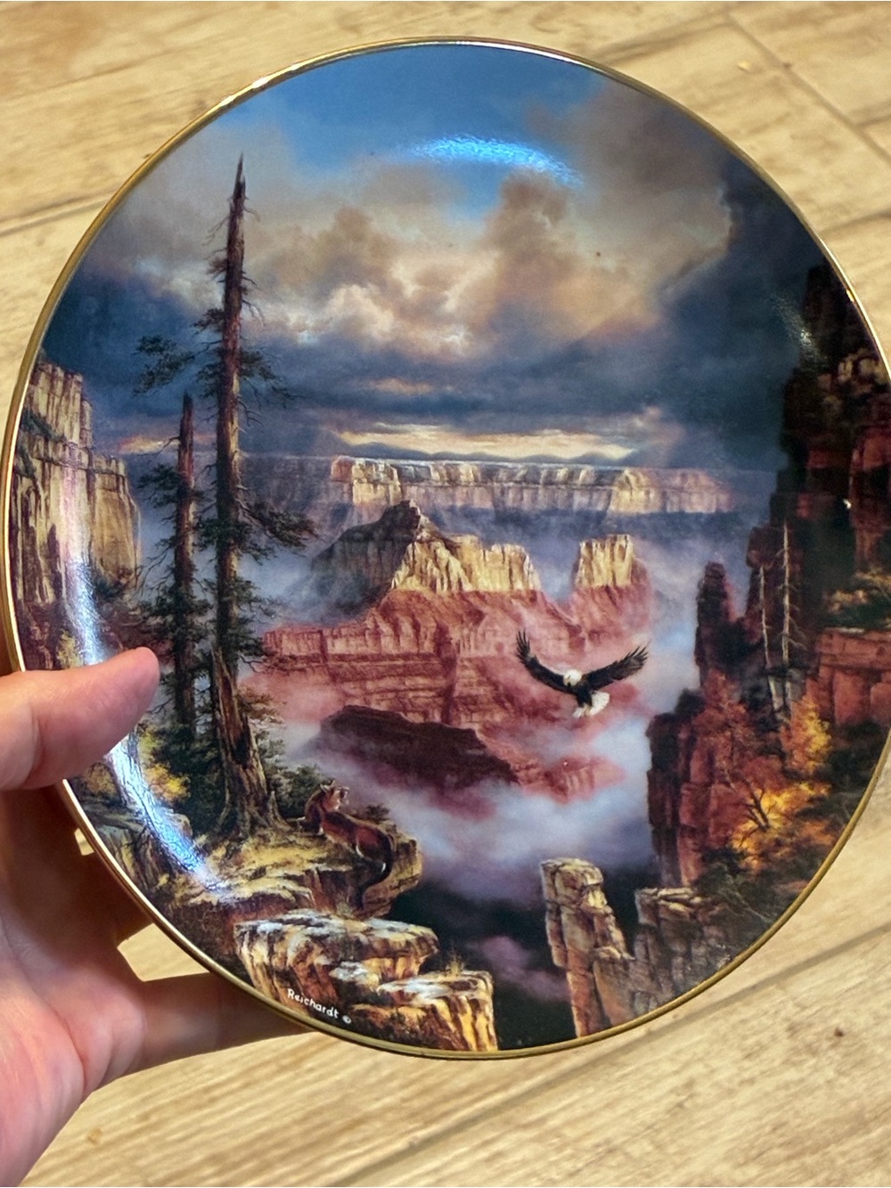 1993 Rudi Reichardt Where Eagles Soar Grand Canyon Danbury Mint Plate 8”